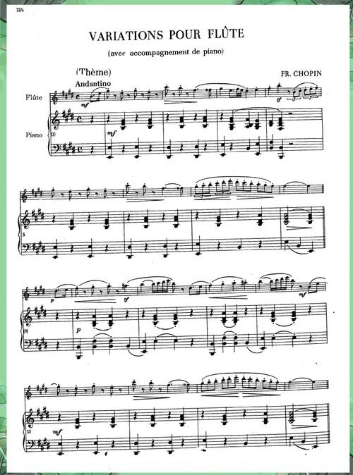 魅力变奏曲 魅力变奏曲